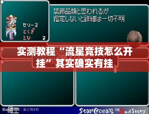 实测教程“流星竞技怎么开挂”其实确实有挂