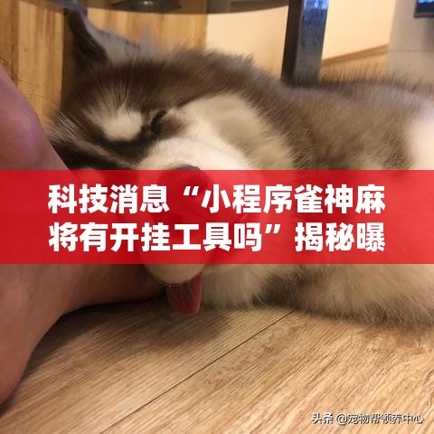 科技消息“小程序雀神麻将有开挂工具吗	”揭秘曝光猫腻