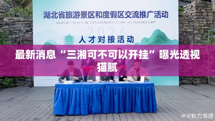 最新消息“三湘可不可以开挂”曝光透视猫腻