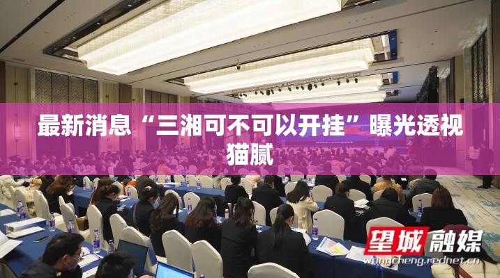 最新消息“三湘可不可以开挂”曝光透视猫腻