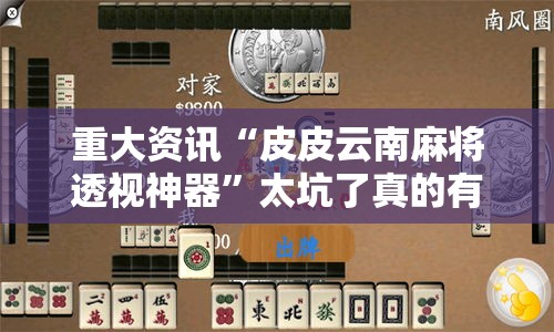 重大资讯“皮皮云南麻将透视神器”太坑了真的有挂