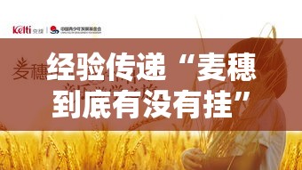 经验传递“麦穗到底有没有挂”详细开挂玩法