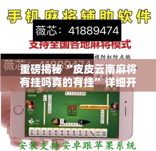 重磅揭秘“皮皮云南麻将有挂吗真的有挂”详细开挂教程