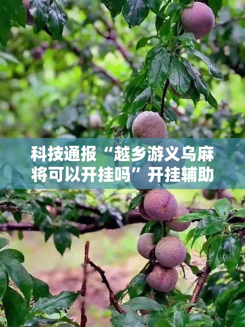 科技通报“越乡游义乌麻将可以开挂吗	”开挂辅助透视教程