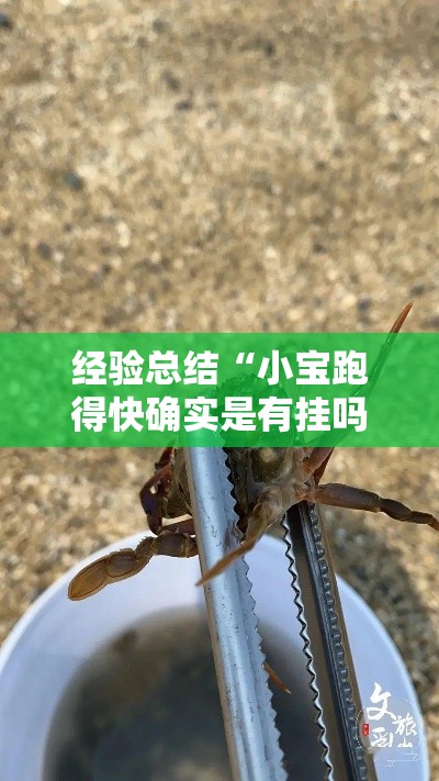 经验总结“小宝跑得快确实是有挂吗”太坑了真的有挂