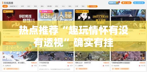 热点推荐“趣玩情怀有没有透视	”确实有挂