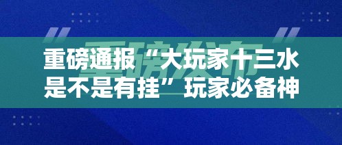 重磅通报“大玩家十三水是不是有挂”玩家必备神器